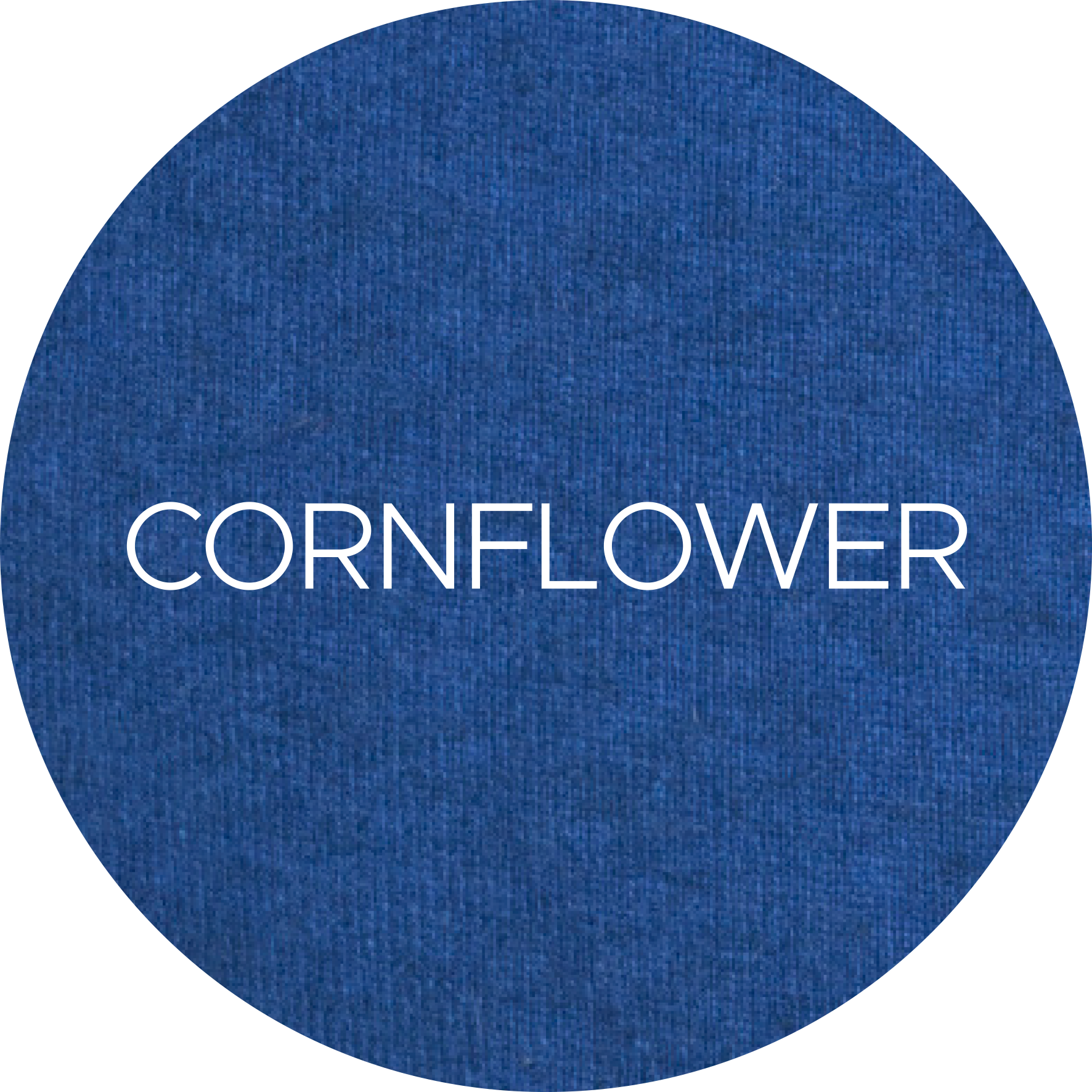 480-Cornflower[1]